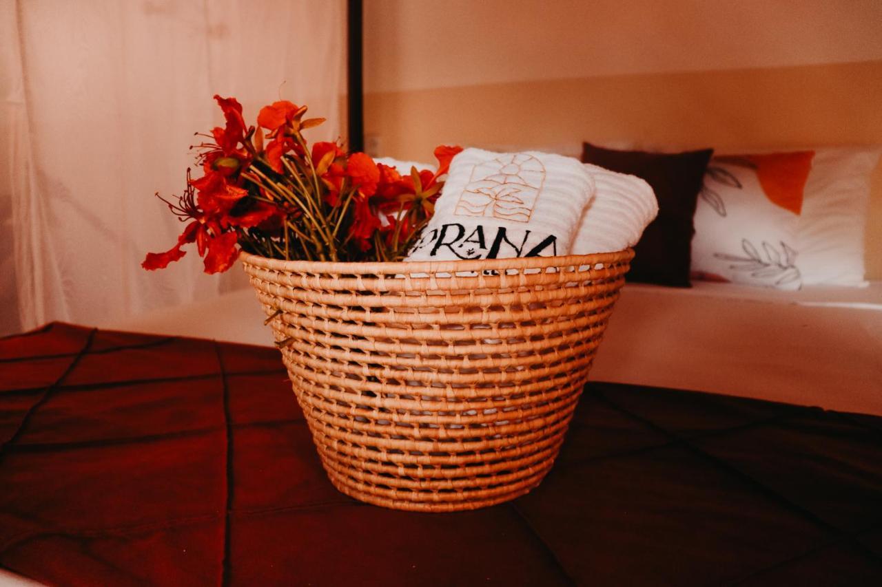 Prana Eco Villa Atins Dış mekan fotoğraf